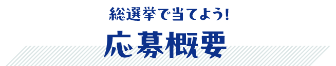 応募概要