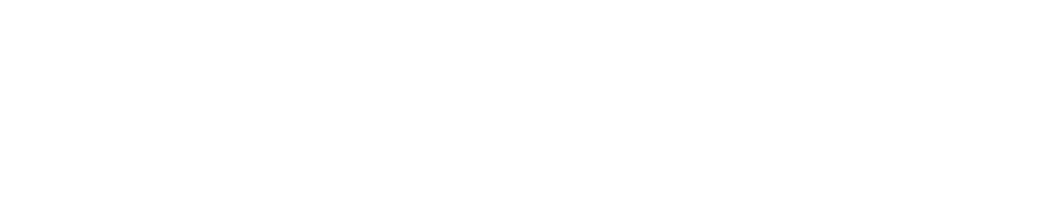 冷凍食品 ご飯もの