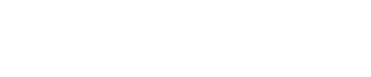 アイス みんなでシェアタイプ（チョコ）