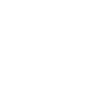 総選挙