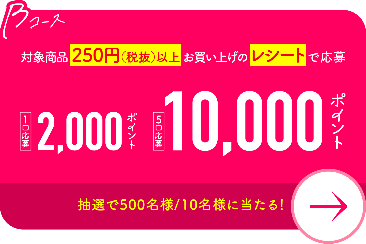 Bコース